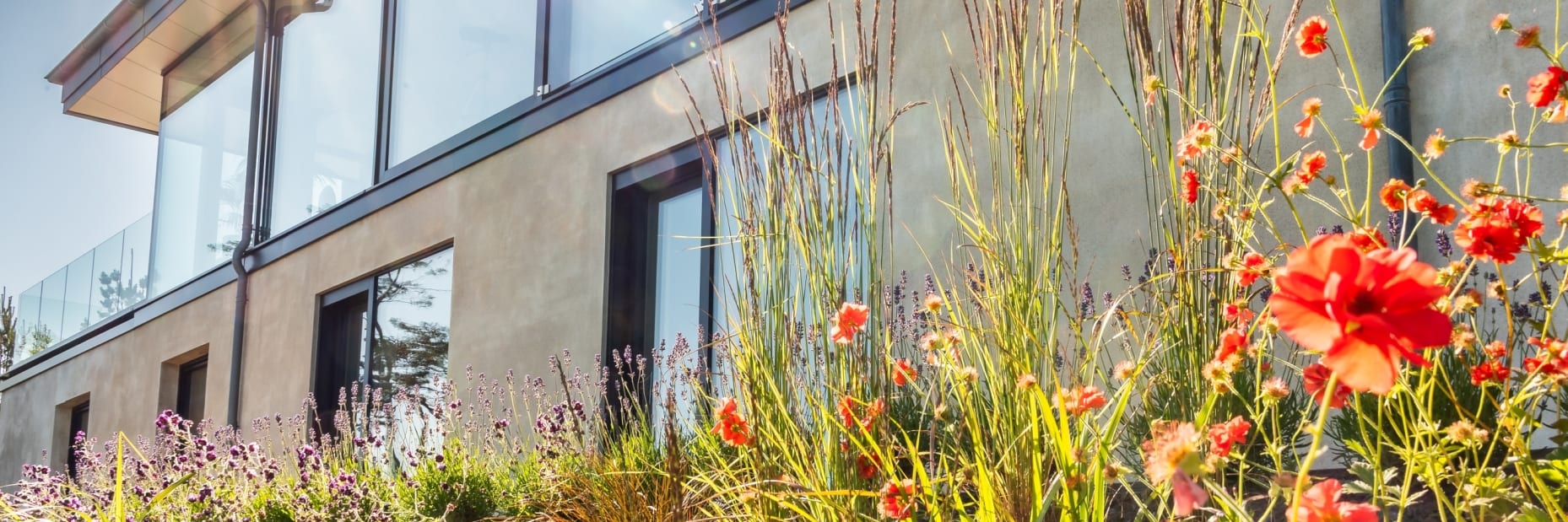 Cork Passive House Exterior